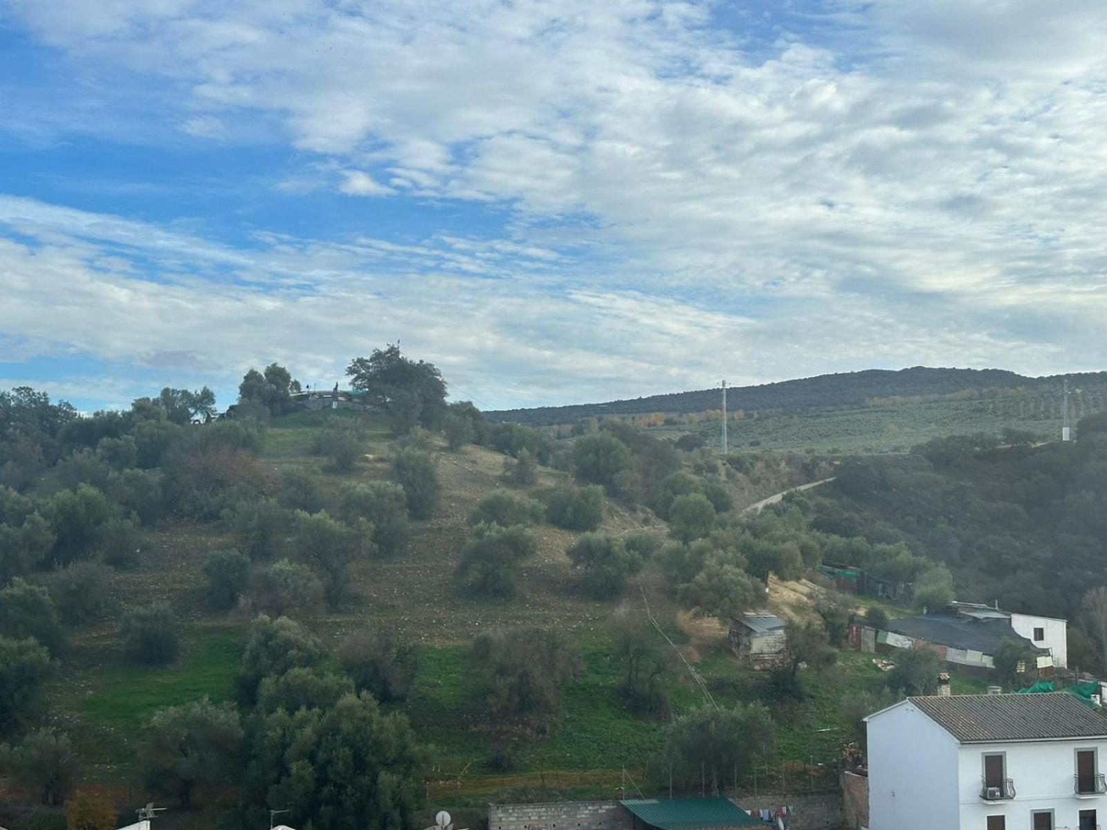 La Casita Del *